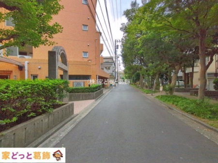 ���n�O�ώʐ^ �B�e��(2026-10-14 00:00:00)