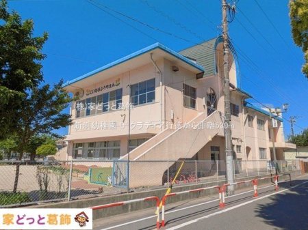 ���ӊ� �V�l�c�t�� �B�e��(2025-04-30) 530m