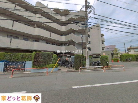 ���n�O�ώʐ^ �B�e��(2026-06-10 00:00:00)