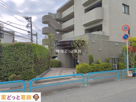 �G���g�����X �B�e��(2026-06-10)
