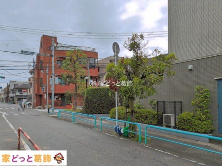 ���n�O�ώʐ^ �B�e��(2026-06-10 00:00:00)