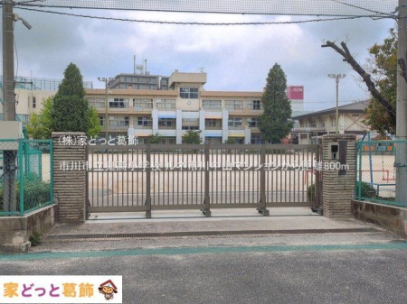 ���ӊ� �s��s���S�����w�Z �B�e��(2026-07-01) 800m