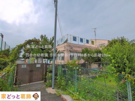 ���ӊ� �S����c�t�� �B�e��(2026-08-05) 320m