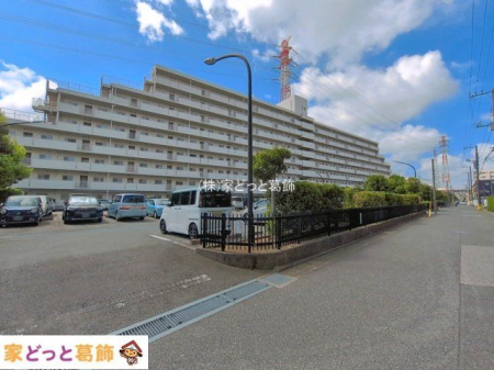 ���n�O�ώʐ^ �B�e��(2026-08-04 00:00:00)