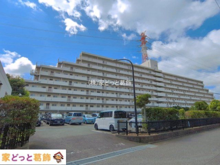 ���n�O�ώʐ^ �B�e��(2026-08-04)