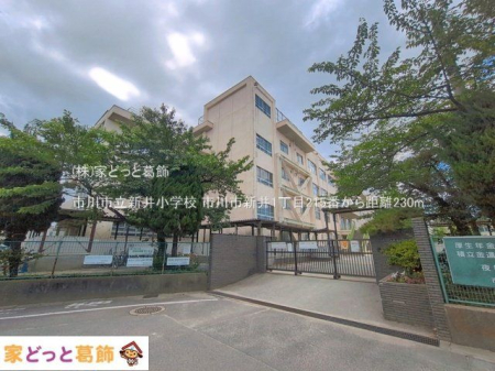 ���ӊ� �s��s���V�䏬�w�Z �B�e��(2026-05-29) 230m