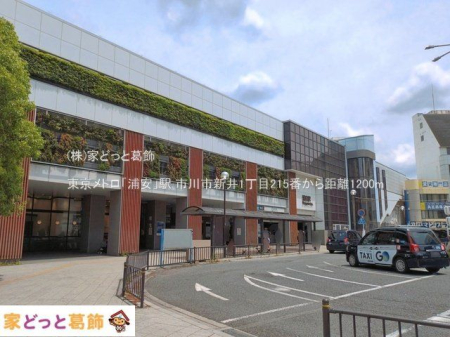 ���ӊ� �������g���u�Y���v�w �B�e��(2026-05-26) 1200m