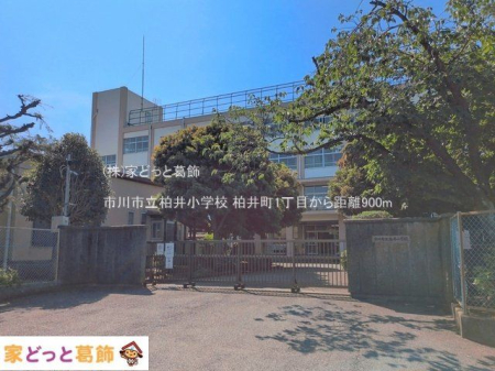 ���ӊ� �s��s�����䏬�w�Z �B�e��(2026-06-19) 900m