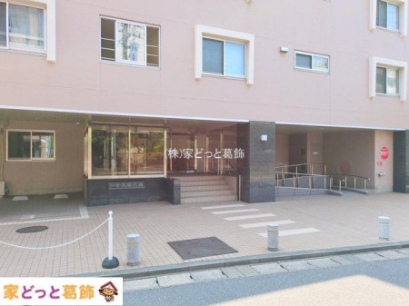 �G���g�����X �B�e��(2025-07-08)