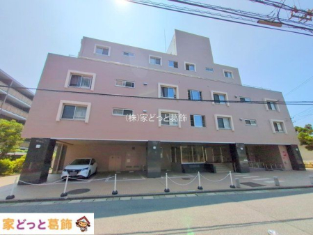 ���n�O�ώʐ^ �B�e��(2025-07-08 00:00:00)