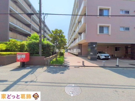 ���n�O�ώʐ^ �B�e��(2025-07-08 00:00:00)