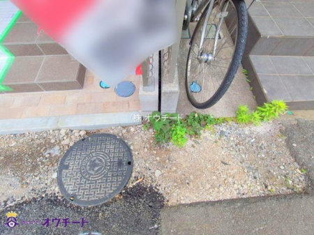 nOώʐ^ Be(2025-05-22 00:00:00)