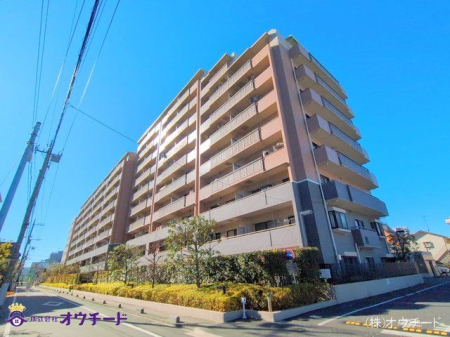 nOώʐ^ Be(2025-01-10)