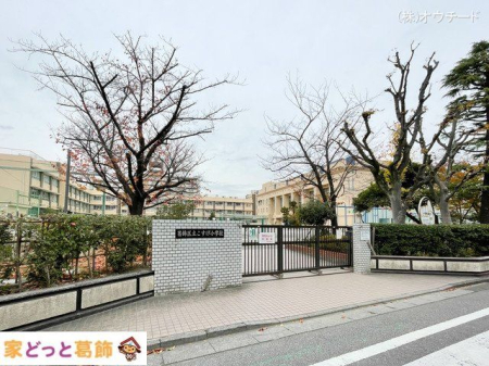 ӊ 旧wZ Be(2023-12-05) 800m