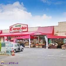 ӊ I[KjbNEX[p[}[PbgNf[V˓X k7B 520m