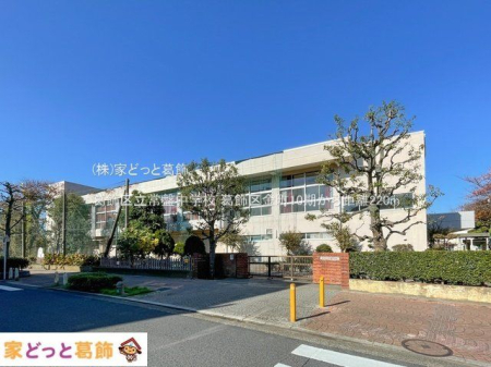 ���ӊ� �����旧��Ւ��w�Z �B�e��(2023-11-22) 220m