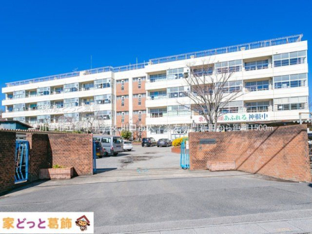 ӊ s_wZ Be(2021-02-16) 1500m