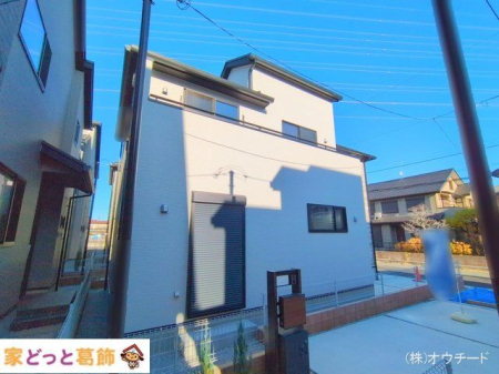 nOώʐ^ Be(2024-12-12 00:00:00)