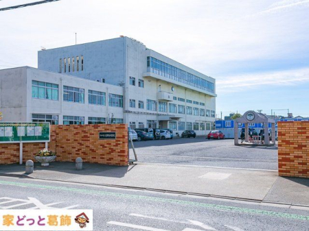 ӊ swZ Be(2021-02-10) 1000m