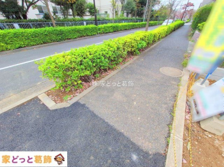 ���n�O�ώʐ^ �B�e��(2025-11-13 00:00:00)