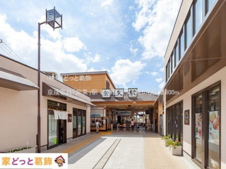 ���ӊ� �����d�S�u�Ė��v�w �B�e��(2021-09-16) 800m