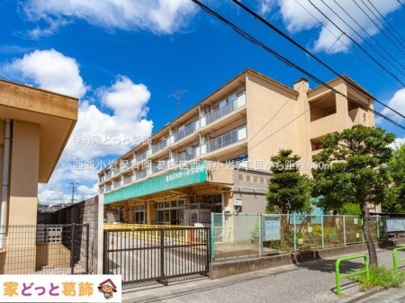 ӊ Vۈ牀 Be(2021-08-03) 560m