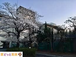 ӊ ˎsꒆwZ݂炢Z k15B 1130m