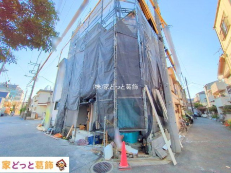 ���n�O�ώʐ^ �B�e��(2025-11-19 00:00:00)