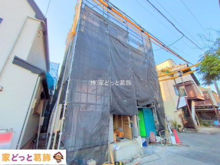 ���n�O�ώʐ^ �B�e��(2025-11-19 00:00:00)