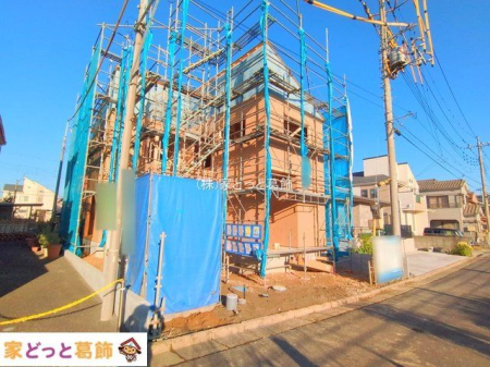 ���n�O�ώʐ^ �B�e��(2025-11-14 00:00:00)