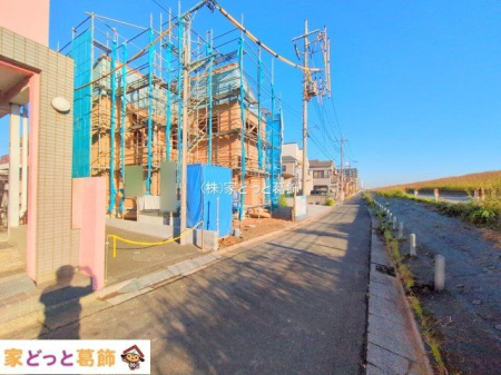 ���n�O�ώʐ^ �B�e��(2025-11-14 00:00:00)