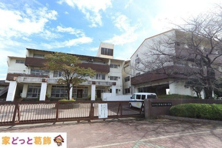 ӊ ˎsVːwZ k9B 720m