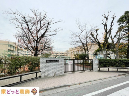 ӊ 旧wZ Be(2023-12-05) 700m