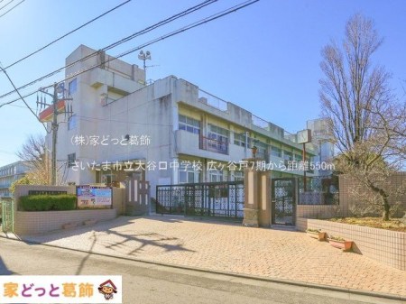 ӊ ܎sJwZ Be(2023-01-31) 550m