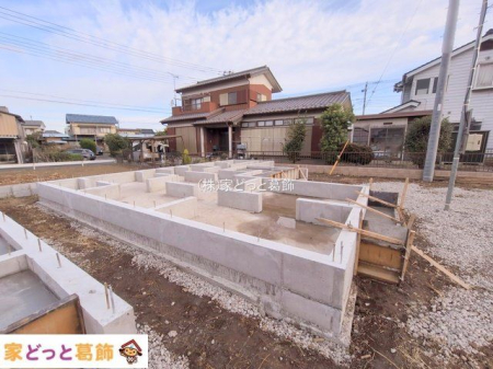 ���n�O�ώʐ^ �B�e��(2025-11-11 00:00:00)