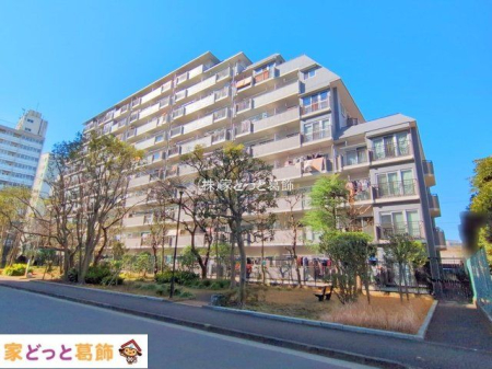 ���n�O�ώʐ^ �B�e��(2025-01-22)