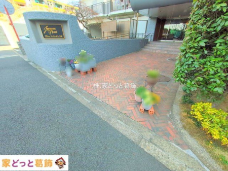 �G���g�����X �B�e��(2025-01-22)