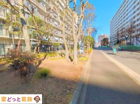 ���n�O�ώʐ^ �B�e��(2025-01-22 00:00:00)