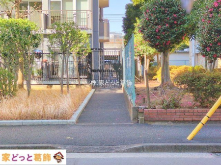 ���n�O�ώʐ^ �B�e��(2025-01-22 00:00:00)