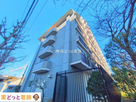 ���n�O�ώʐ^ �B�e��(2025-01-22 00:00:00)