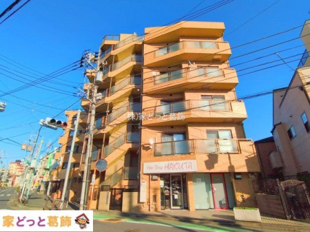 ���n�O�ώʐ^ �B�e��(2025-11-17)