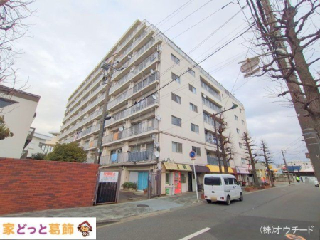 nOώʐ^ Be(2025-02-03 00:00:00)