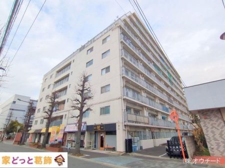 nOώʐ^ Be(2025-02-03 00:00:00)