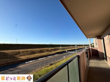 ���̑� ���]