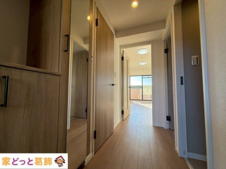 ���� ����