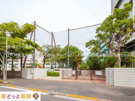 ӊ ]ː旧슋OwZ Be(2021-06-02) 210m