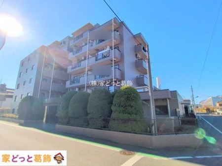 ���n�O�ώʐ^ �B�e��(2025-12-18 00:00:00)