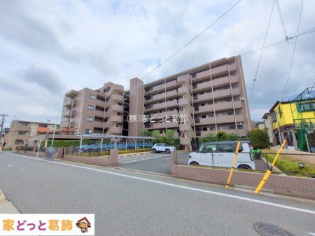 ���n�O�ώʐ^ �B�e��(2025-06-26 00:00:00)