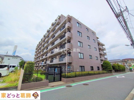 ���n�O�ώʐ^ �B�e��(2025-06-26 00:00:00)