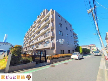 ���n�O�ώʐ^ �B�e��(2025-12-18)